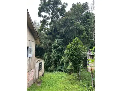 LOTE 001 - Quota parte de 25% de terreno situado na cidade de São Bento do Sul/SC.