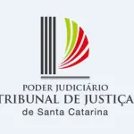 VEÍCULO RENAULT/CLIO - 2005